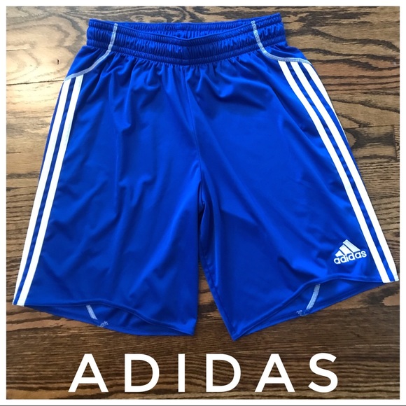 royal blue adidas shorts